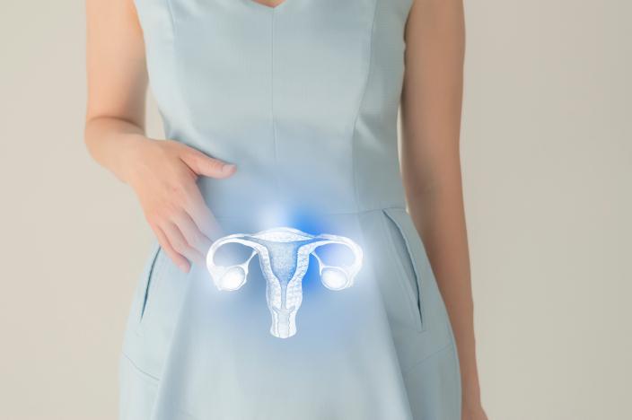 The Ovaries and Uterus