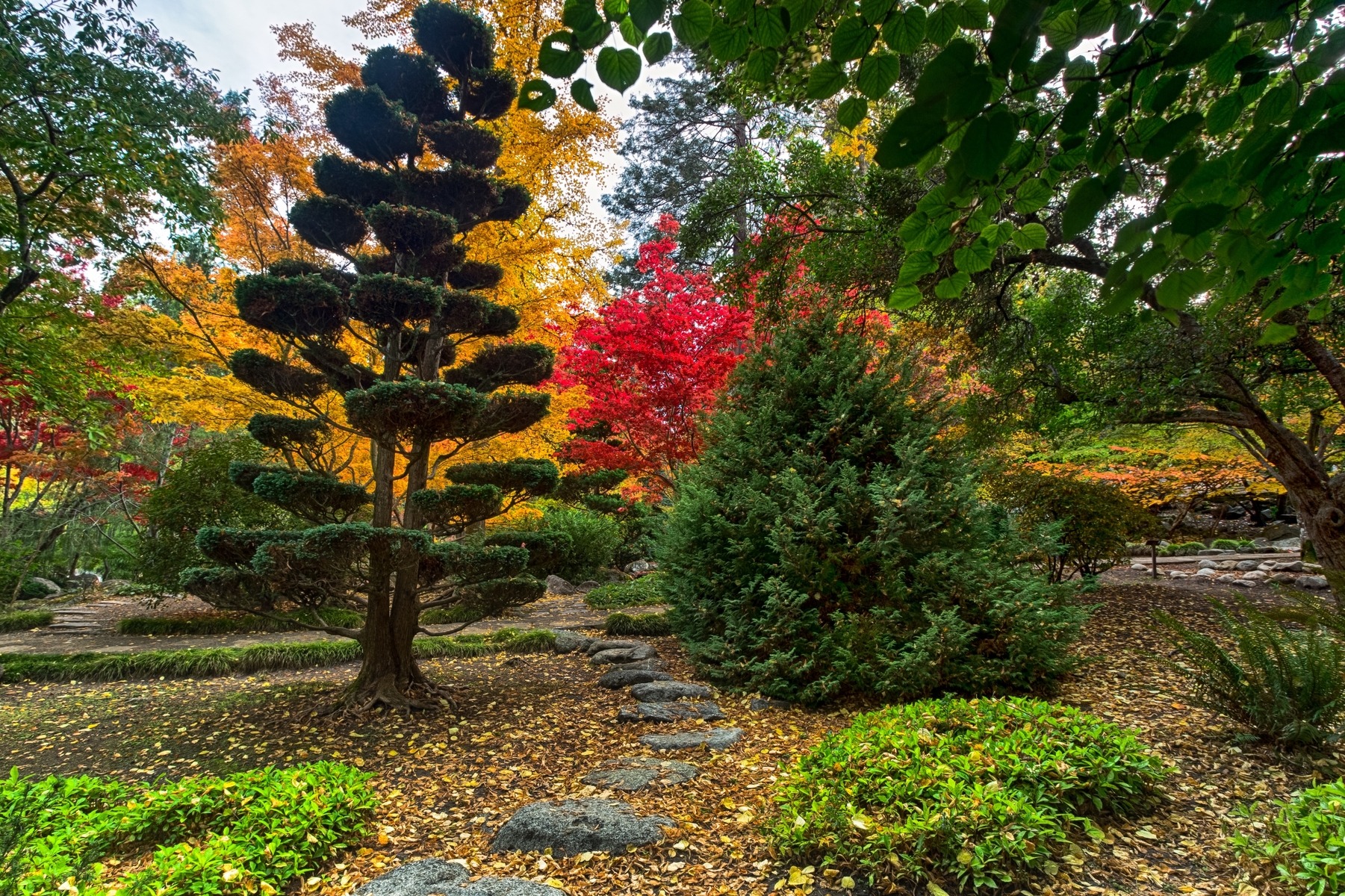 Japanese Garden Ashland