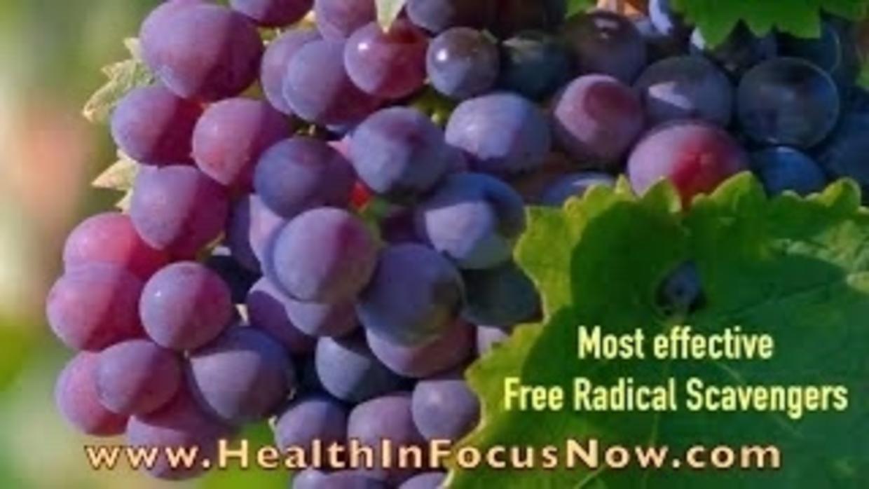 More Grape Seed Extract