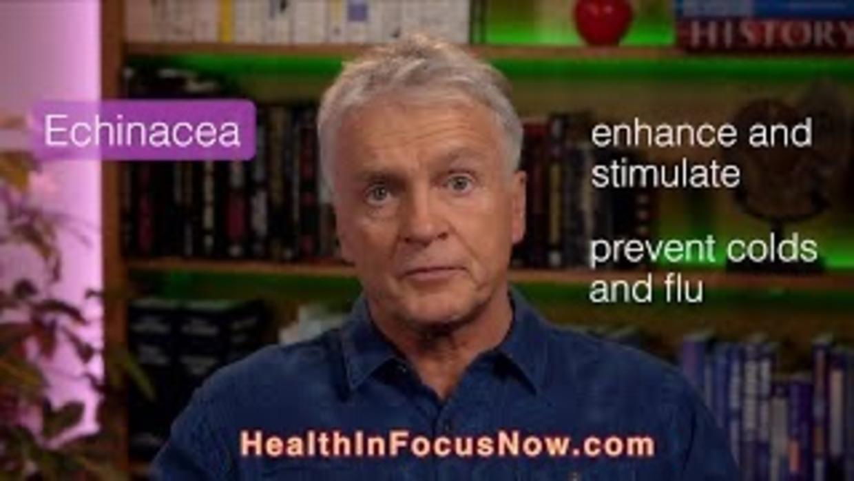 Echinacea - 1