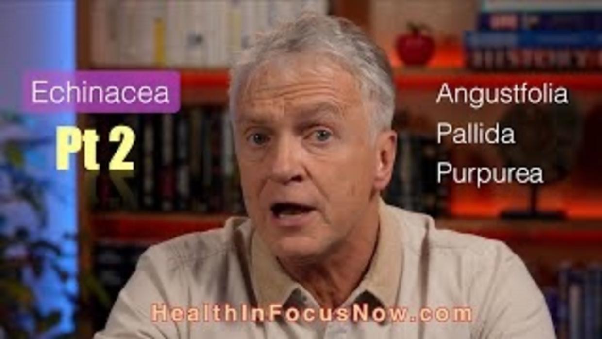 Echinacea - Part 2