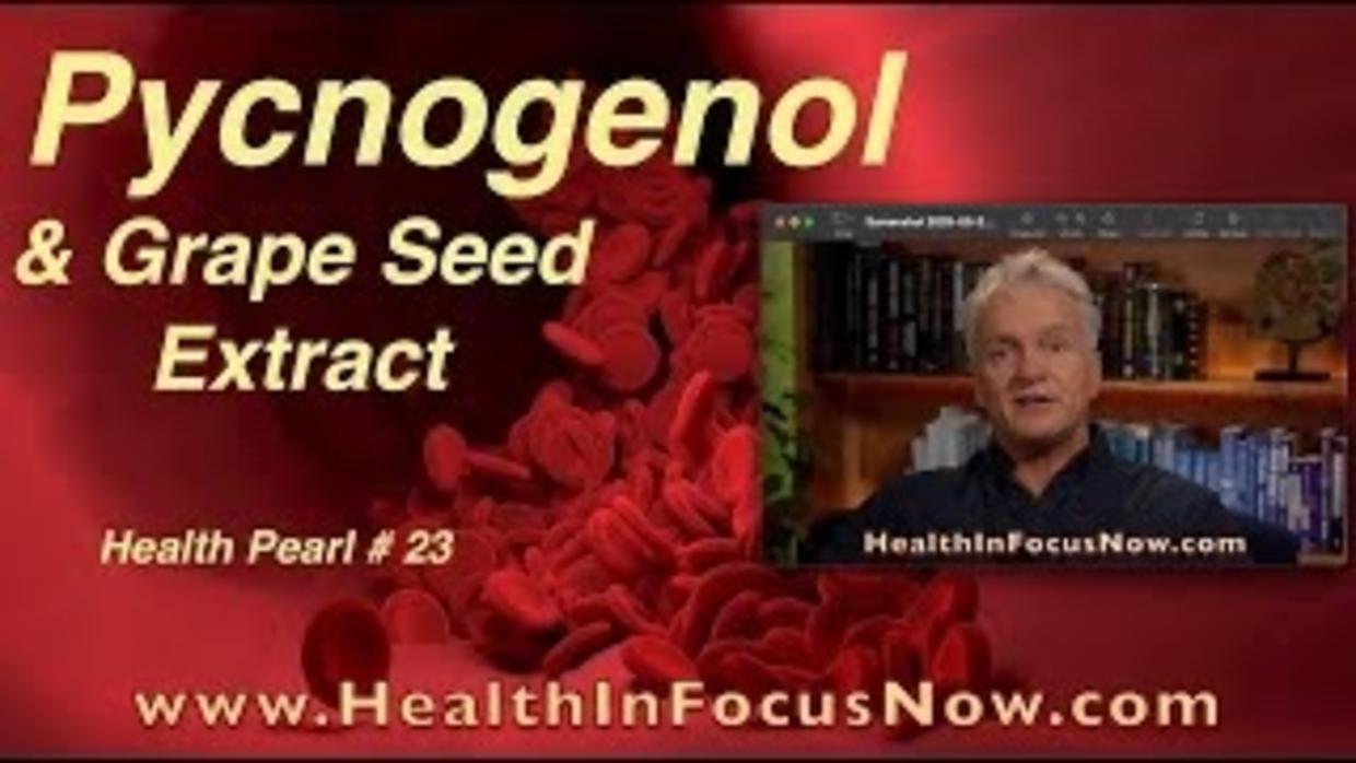 Pycnogenol and Grape Seed Extract