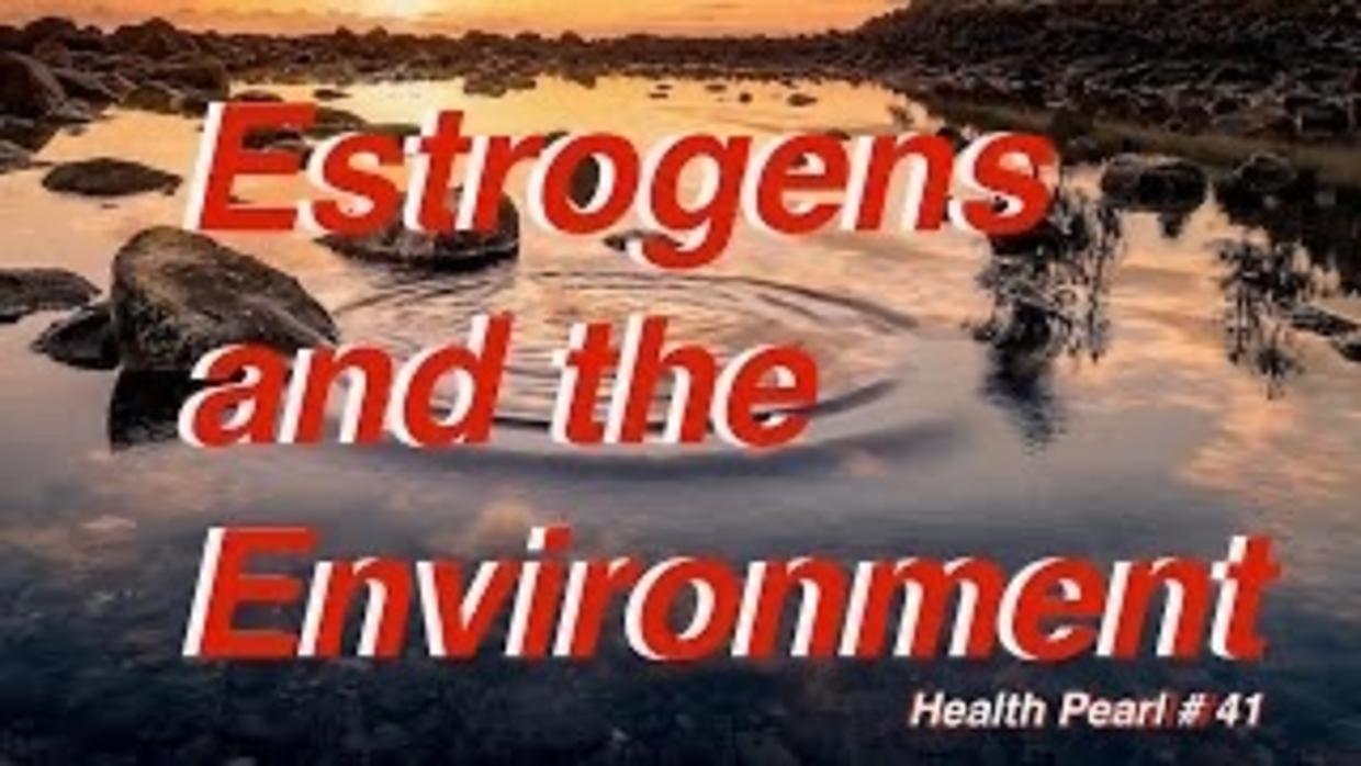 Estrogens and the Environment