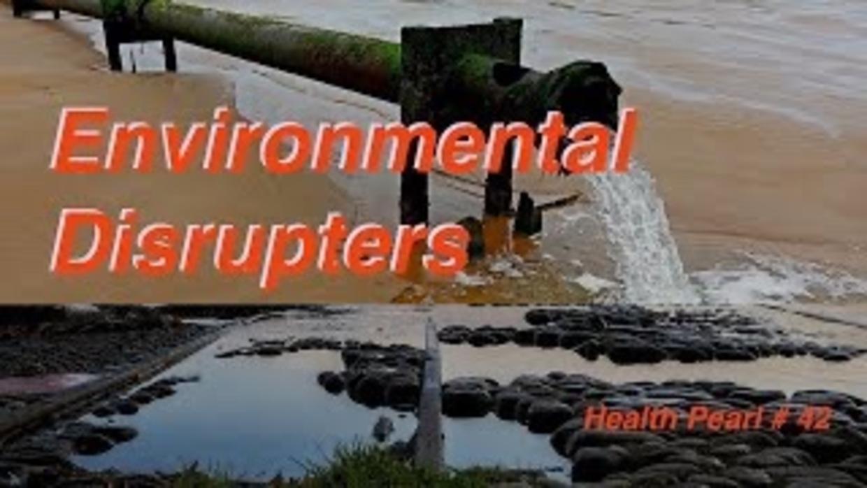 Environmental Disrupters